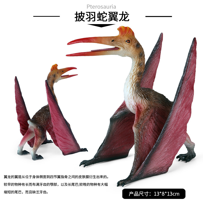 儿童仿真大号披羽蛇翼龙侏罗纪实心恐龙玩具翼手龙动物认知模型