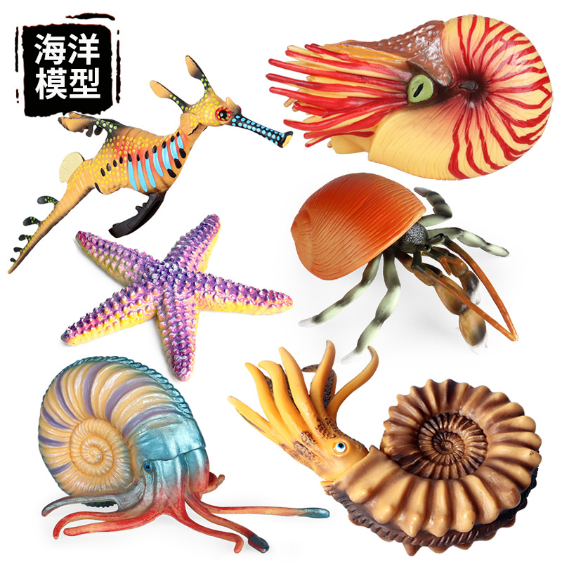 儿童认知远古仿真动物模型实心海洋海马海星鹦鹉螺寄居蟹玩具
