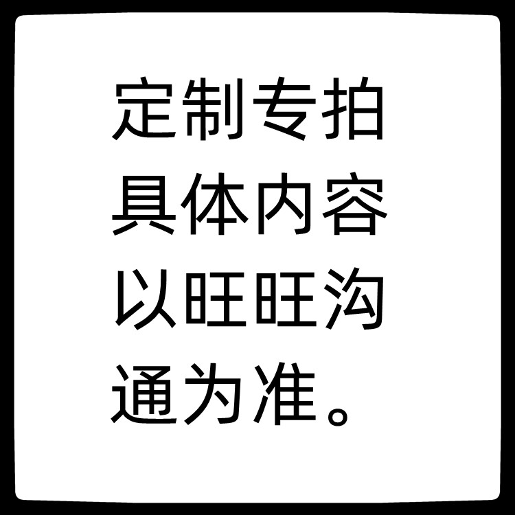 定制专拍 具体以旺旺聊天记录为靠垫/抱枕