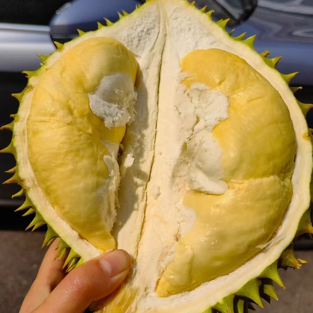 越南干尧金枕榴莲新鲜水果当季一整个带壳鲜果巴掌4房肉顺丰包邮