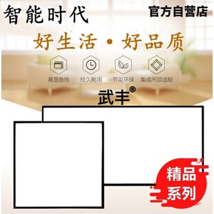 集成吊顶led灯超薄黑框厨房卫生间嵌入式 600 平板灯吸顶灯300x300