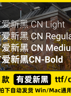 有爱新黑Nowar Neo Sans 含免费商用证明 黑体 Win/Mac中文字体包