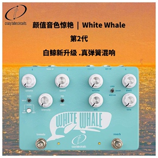 真弹簧混响White Whale Crazy Tube Circuits  希腊产 单块效果器