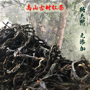 野生古树红茶广西河池高山花果香蜜香甜山野纯正天然散茶幽香耐泡
