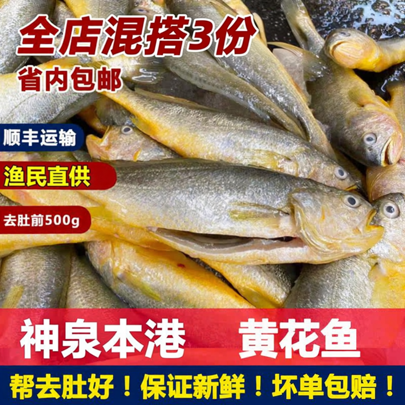 渔民直供潮汕惠来神泉本港小黄花鱼去肚新鲜冷冻海鱼码头海鲜顺丰