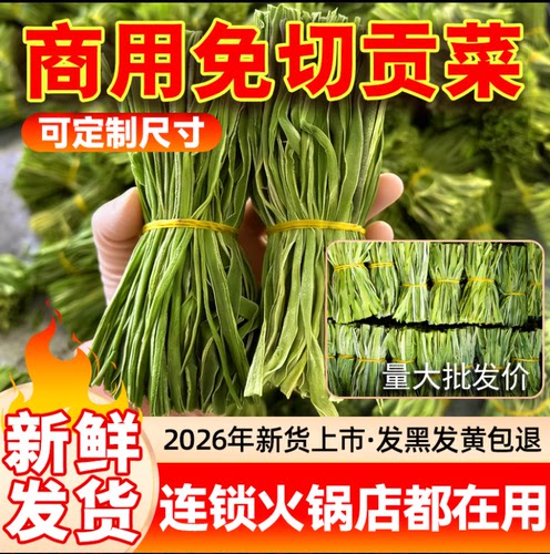 特级免切贡菜段干货商用批发农家自制新鲜苔菜段火锅专用脱水蔬菜