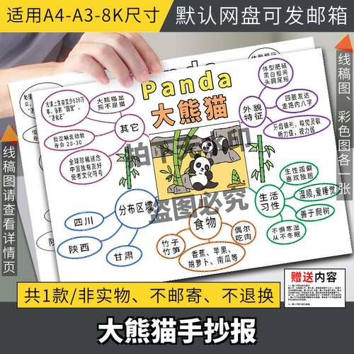 大熊猫思维导图黑白线描涂色空白小学生动物卡片A4A38K手抄报模板