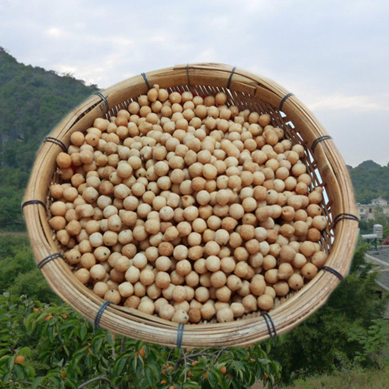 桂林恭城油茶小吃麻旦果 油果 麻蛋果 脆果2斤装包邮非真空