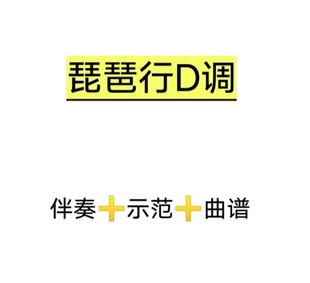 网盘发货 琵琶行D调伴奏＋示范＋曲谱 初学古筝流行曲伴奏