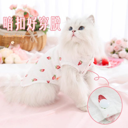 猫咪衣服防掉毛薄款春夏新款猫猫布偶小猫咪两脚背心夏天宠物裙子