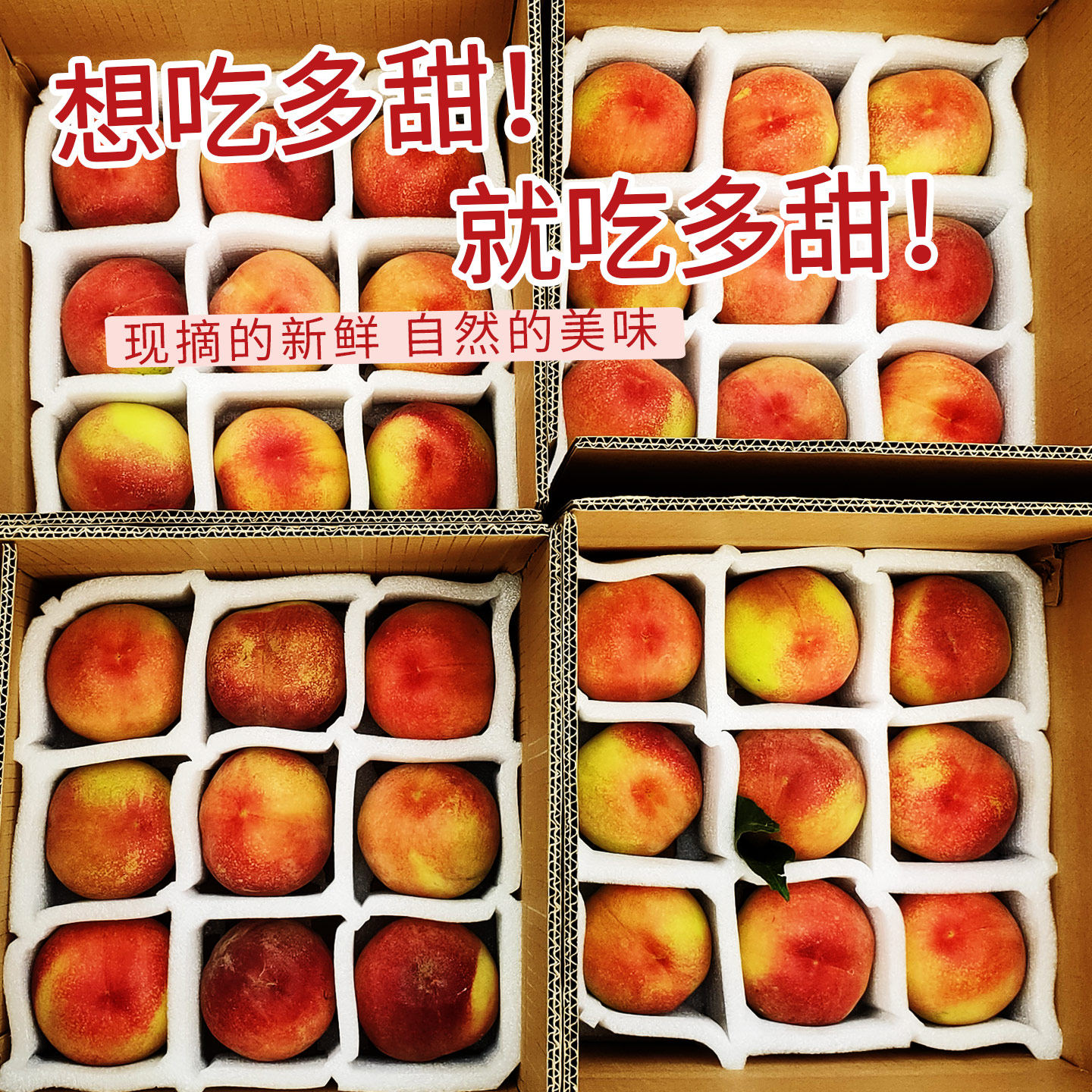 博陵果仙11°清甜深州水蜜桃品味尝鲜新鲜水果软桃子时令当季整箱