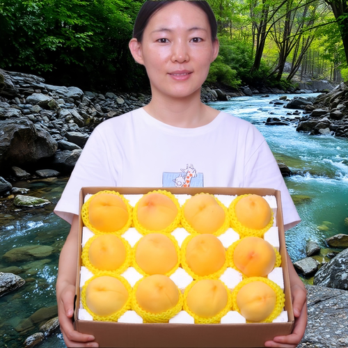 现摘蒙阴新鲜大黄桃10斤水果特产