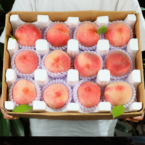 现摘无锡正宗水蜜桃10斤整箱包邮