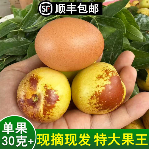 现摘现发|精品特大|顺丰到家