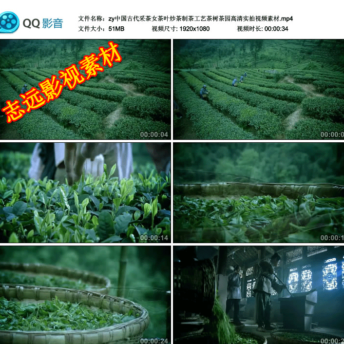 中国古代采茶女茶叶炒茶制茶工艺茶树茶园高清实拍视频素材