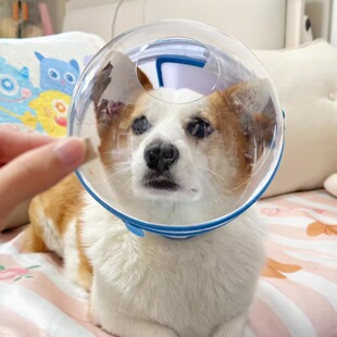 狗狗太空头套伊丽莎白圈项圈脖圈防舔防咬啃脚尾柯基嘴套盲狗防撞