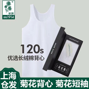 上海菊花牌背心内衣男中老年人纯棉全棉宽松120支老头衫 正品 短袖