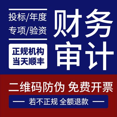 审计咨询投标年度财务报表年检专项高企科小清算验资幼儿园审计