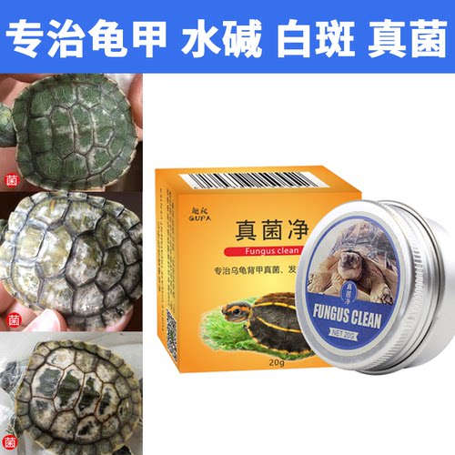 乌龟真菌净膏背甲护理真菌感染巴西草龟背甲发白水碱白斑腐皮烂甲