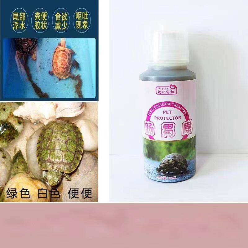 乌龟白便绿便黄便巴西龟草龟龟粪便松散不成型果冻便不吃浮水非药