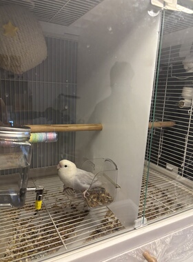 无孔版隔离板达洋鸟笼b6045/6047ss鸟笼透明加厚亚克力隔断b6001