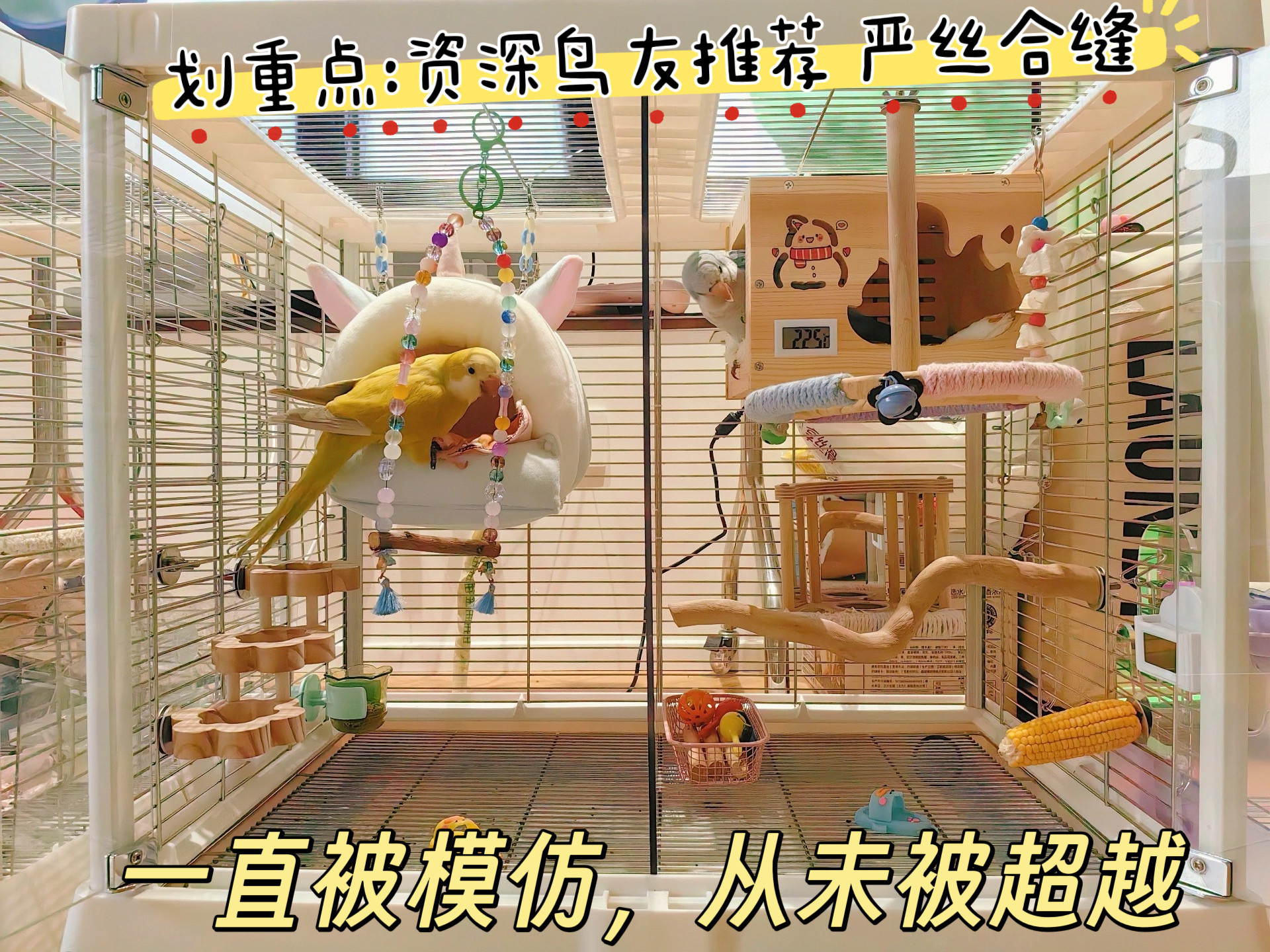 达洋B5001/ss挡板鸟笼透明亚克力隔板鸟笼中间隔断B6001分隔挡板 - 实物图