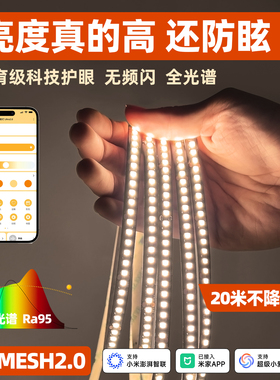 已接入米家APP智能Smd灯带高亮防眩护眼全光谱led双眼皮线条灯带