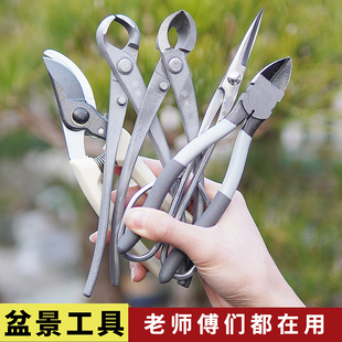 球节剪盆景修剪造型专用工具大全叶芽球形型剪刀不锈钢修枝钳套装