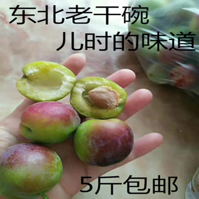 东北老干碗李子 石仁李子干碗李子晚黄李子酸甜孕妇水果5斤包邮