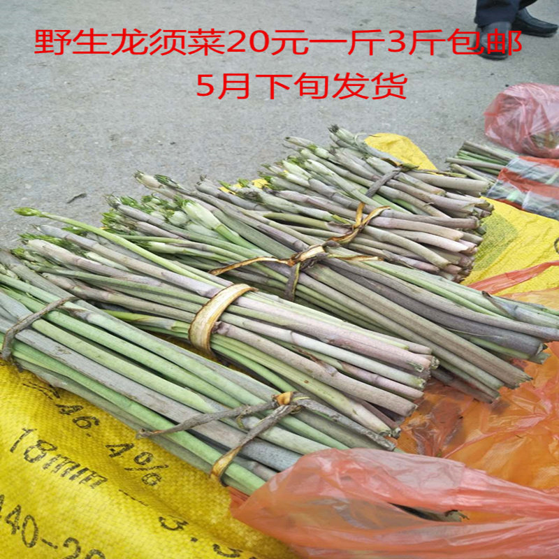正宗东北龙须菜野生牛尾菜 山芦笋长白山山野菜三斤包邮