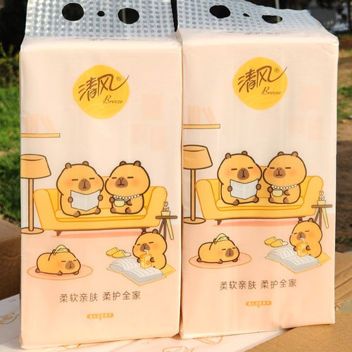清风抽纸悬挂式卫生纸家用实惠装