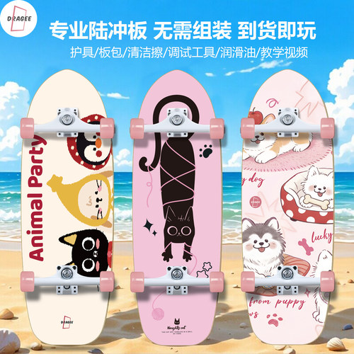 糖衣陆地冲浪板专业弹簧桥PU桥