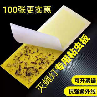 灭蝇纸灭蝇灯专用粘蝇纸粘捕式 灭蚊灯粘蝇板灭蚊纸奶茶店灭苍蝇纸