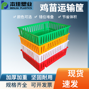 小鸡框厂家批发 鸡苗筐白色加厚长方形鹅苗运输周转箱错位可堆叠式