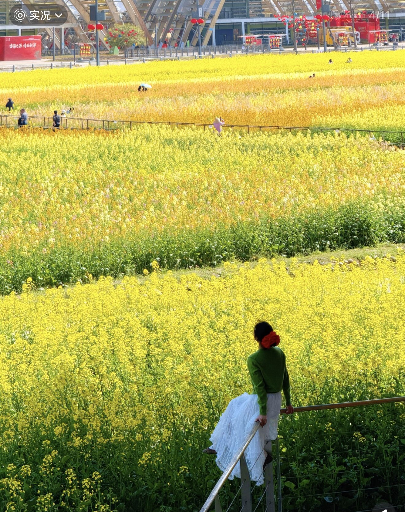 春日油菜花写真绿毛衣白纱裙套装 氛围感森系少女旅拍服装租赁