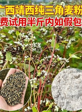 广西土特产靖西三角麦粉德保新鲜当季健康粗粮农家种植