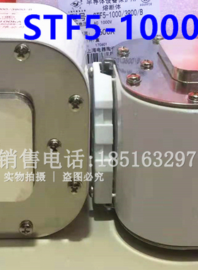飞灵STF2电器陶瓷STF5-1000/3900/B半导体保护用快速熔断器1600A