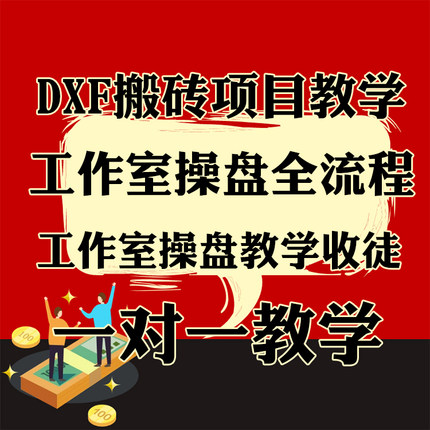 蓝丝雨DXF搬砖项目工作室操盘教学收徒一对一全程带直至出金