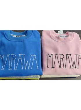 3060新款儿童春秋款休闲不加绒圆领卫衣