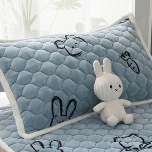 2024新款 48cmx74cm秋冬珊瑚绒保暖枕头套单个 A类枕套牛奶绒一对装