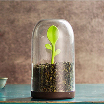 创意嫩绿小树芽茶叶密封罐带勺子多功能收纳保鲜盒调味罐厨房用品