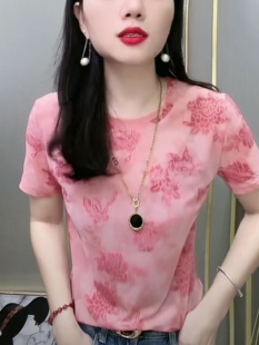新款 t恤女夏季 宽松休闲体恤百搭设计感上衣 印花网纱短袖 时尚