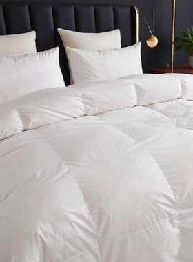 羽绒被子定做尺寸220x260x240x270x230鹅绒冬芯被300x250x280x248