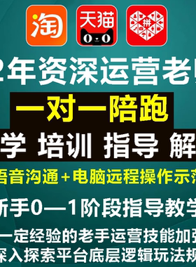 天猫淘宝运营陪跑1对1网店指导推广培训新手课程多多教学电商教程