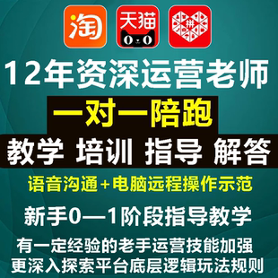 天猫淘宝运营陪跑1对1网店指导推广培训新手课程多多教学电商教程