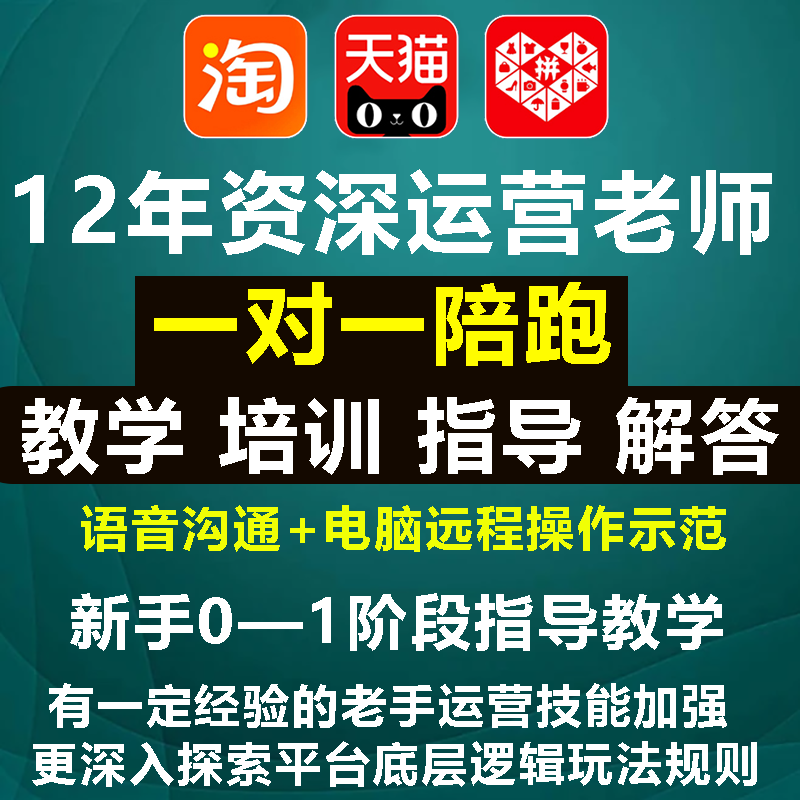天猫淘宝运营陪跑1对1网店指导推广培训新手课程多多教学电商教程