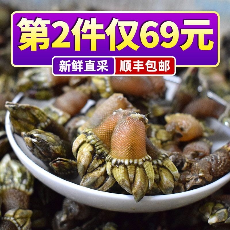 新鲜鲜活小佛手螺 狗爪螺 龟脚螺观音手石浦舟山海鲜水产顺丰包邮