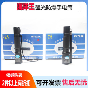 海洋王JW7622强光巡检手电筒 JW7623/HZ防爆防水手电筒电池