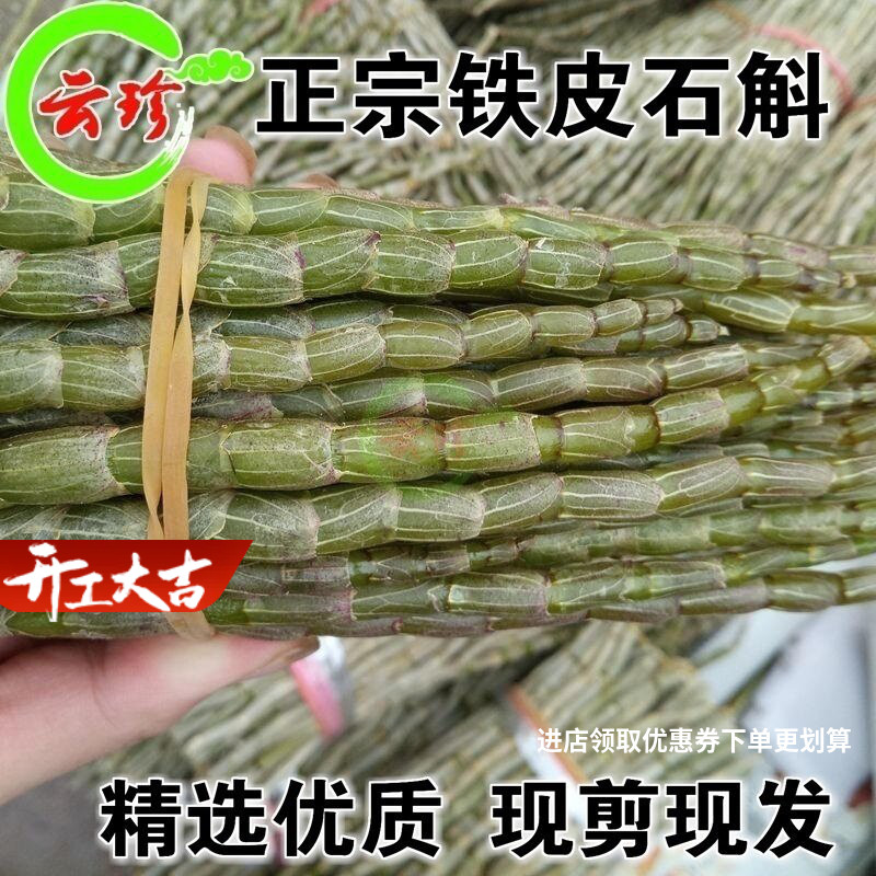 新鲜铁皮石斛鲜条 4年仿野生 滋补养生效 胶质多渣少包邮石斛枫斗