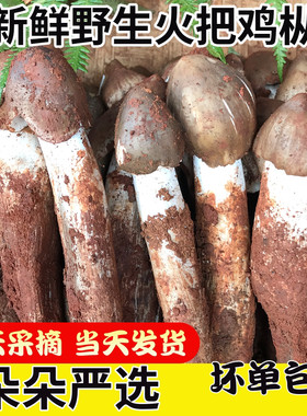 新鲜野生菌荔枝菌鸡枞产地直发